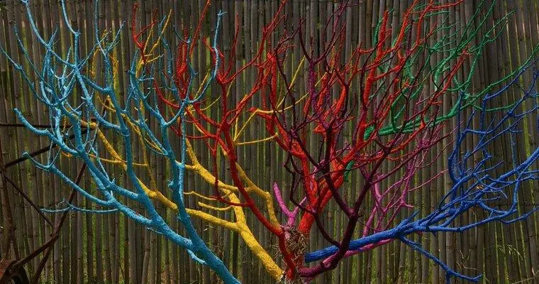Inspired Creations